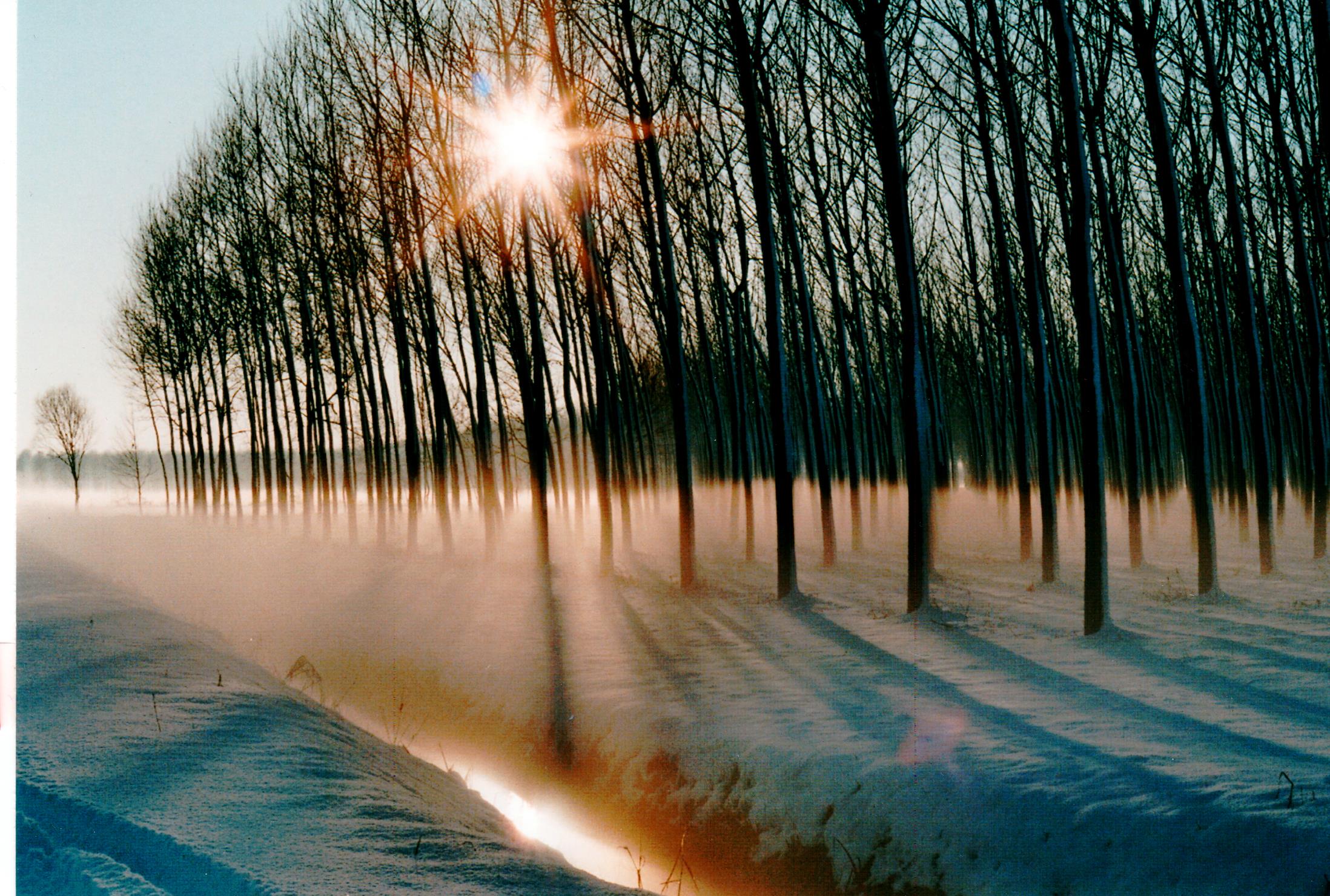 Immagine (33)